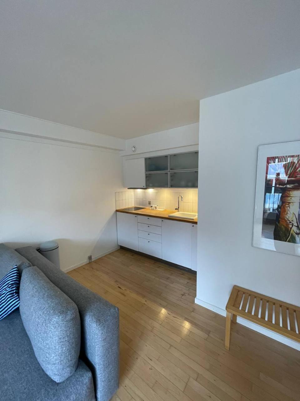 Appartement Christianshavn Finest With Huge Balcony *